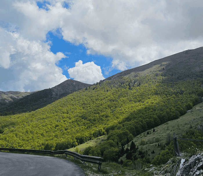 Galicica National Park 