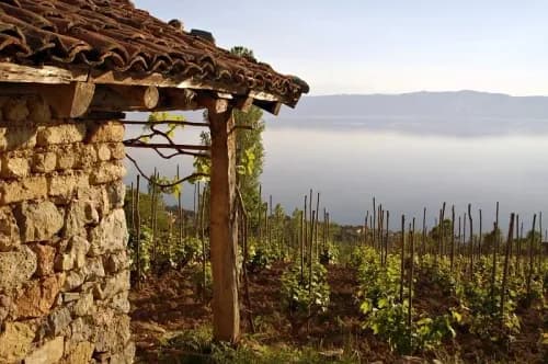 Tradition is still alive