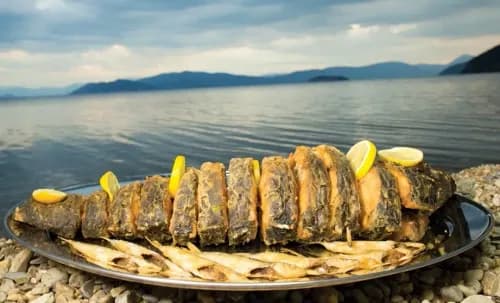 All tastes of Macedonia 